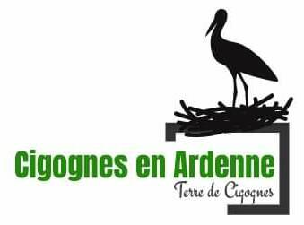 Cigognes en Ardenne [Terre de Cigognes]