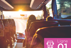 Actu sondage bus.png