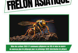Affiche Frelon 2025.jpg