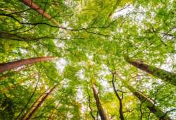 environnement reduit.jpg