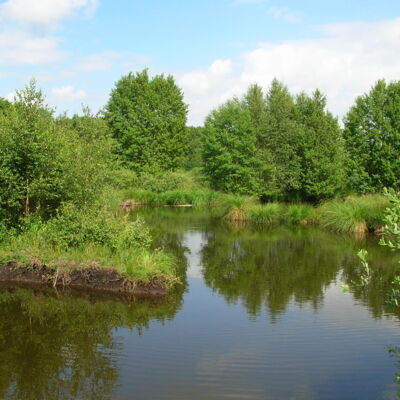 Marais de Germont