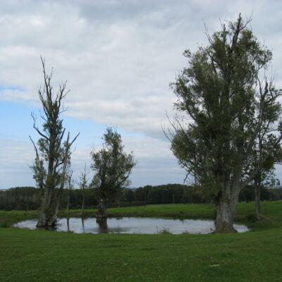 Étangs entre Boult-aux-Bois et Germont