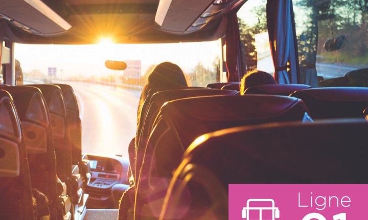 Actu sondage bus.png