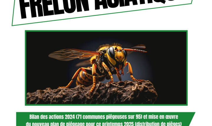 Affiche Frelon 2025.jpg