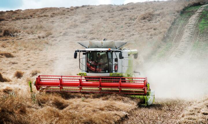 comm agriculture.jpg