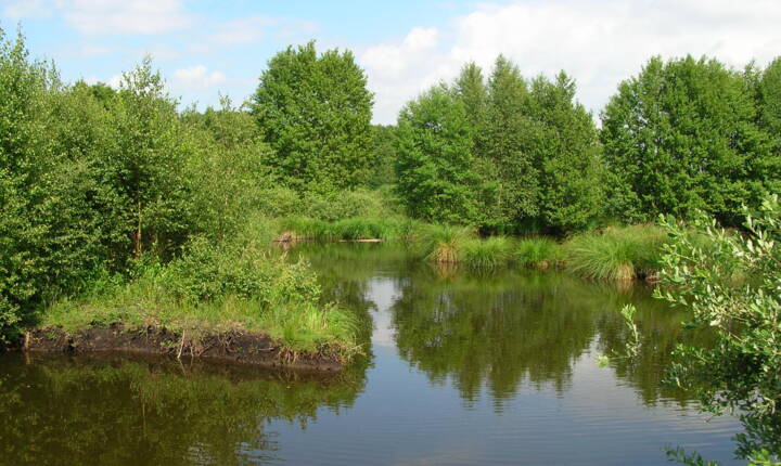 Marais de Germont