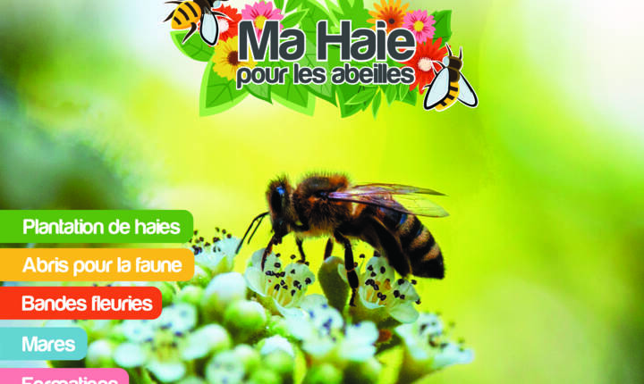 Couverture Ma haie pour les abeilles.jpg