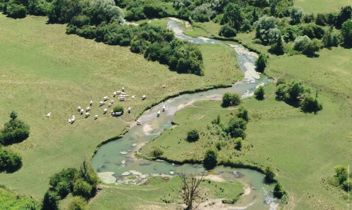 Programme des animations N2000 2026_page-0001.jpg