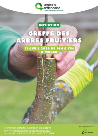 Initiation : greffe des arbres fruitiers.jpg