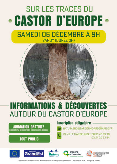 affiche___sur_les_traces_du_castor-692818b50aba5.jpeg