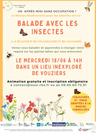 b4d62279-26c5-499c-8aee-fdbbdc21e2d1-18-06-balade-avec-les-insectes-1.webp