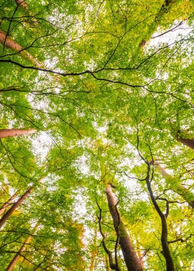 environnement reduit.jpg